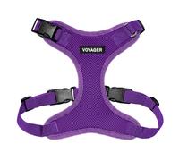 Best Pet Supplies Voyager Step-in Lock Arnés para Mascotas, Malla para Todo Tipo de climas, arnés Ajustable para Gatos y Perros, Morado, L