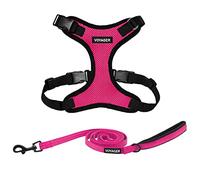Best Pet Supplies Voyager Step-in Lock - Juego de arnés para Perro con Correa Reflectante para Perro, con Mango de Neopreno, 1.5 m, soporta Gatos y Cachorros de Raza pequeña, Mediana y Grande, Base