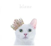 Best Selection:Blanc [Type B] [Import Allemand]