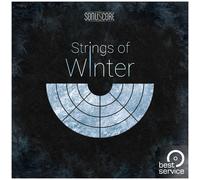 Best Service TO - Strings of Winter