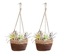 BestAlice - 2 Cestas Colgantes para Plantas, Macetero Colgante de 7,8 Pulgadas, Cesta de Flores de Ratán, Soporte para Macetas, Lavabo, Epipremnum Aureum, Maceta, Cuerda de Cáñamo, Pajita(#3)