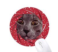 Bestchong Animal Big Eye Gato Gris fotografía Wheel Mouse Pad de Goma roja Redonda