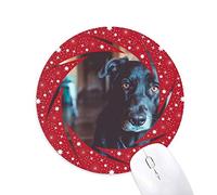 Bestchong Black Dog Pet Animal Picture Wheel Mouse Pad de Goma roja Redonda