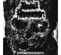 Bestial Putrefaction - Eternal Flesh Ripping Chaos [Vinilo]