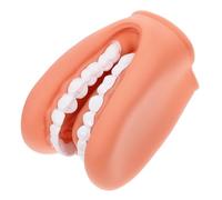 BESTOMZ Figura de Dientes Interactiva para Educación Estructura Interna Desmontable de Pvc Adecuada para Demostraciones Prácticas y Estudiantes