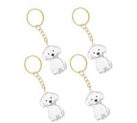 BESTOMZ Llavero Conmemorativo para Pelo de Perro 4 Piezas Transparente Abs Caja de Recuerdos Pequeña Colgante Mascota Accesorio para Memoria Emocional y Uso Diario
