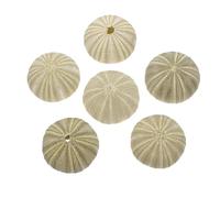 BESTOMZ Maceta Decorativa Concha de Erizo de Mar Natural 4-6 Cm, Juego de 6 Piezas para Acuario y Decoración de Plantas de Aire en Hogar y Oficina