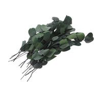 BESTOMZ Ramo de Eucalipto Seco Preservado de 45 Cm Hojas Verdes para Decoración Rústica en Jarrones y Arreglos Artificiales