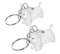 BESTonZON 2 Piezas Llavero conmemorativo de Mascotas Recuerdo de Pelo de Mascota joyería de Memorial recolector de pelos Transparent