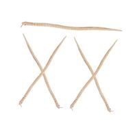 BESTonZON 5 Piezas De Serpientes Realistas Juguete Sensorial para Fiestas Serpientes Articuladas De Madera Juguetes para Pedir Dulces O Trucos Falsas Articuladas