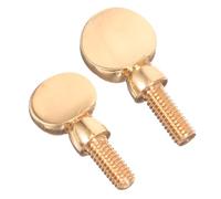 BESTonZON 6 Piezas saxofón tornillo cuello pequeño accesorio instrumento musical instrumentos musicales tornillo cuello saxo herramienta reparación instrumentos Metal grasa