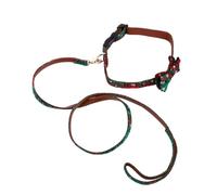 BESTonZON Juego de Collar y Correa para Perro de Navidad Ajustable Set 2 Piezas con Diseño de Copo de Nieve Collar Verde 15X245 CM y Correa 13X120 CM Accesorios Festivos para Mascotas