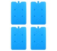 BESTonZON Paquetes de Hielo Reutilizables para Actividades al Aire Libre, 4 Unidades Azul 160x100x20 Mm, Enfriador Portátil para Picnic y Camping, Compresas Frías para Mantener Alimentos