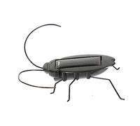 BESTonZON Solar Juguete el Robot Salvaje The Accesorios de Escritorio de Oficina Funciona con energía Solar simulación Exterior Estatua Producto Modelo niño Insecto PVC