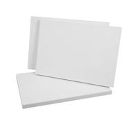 BESTOYARD 3 Piezas Tablero de Fijación para Insectos de Eva Blanco Diseño y Aplicación Versátil para Preparación de Mariposas y Especímenes en Escuelas