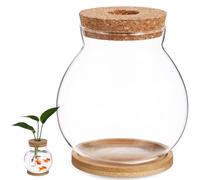 BESTOYARD Tanque de peces para peceras Betta, estación de propagación de agua, decoración de pecera, botella, corcho, café, decoración de plantas, terrario con soporte de madera, bambú con cubierta de