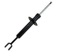 BESTPRICE 1x Amortiguador de gas a presión puntal trasero de doble tubo, compatible con AUDI A4 B6 (8E2), A4 B6 Avant (8E5), A4 B7 (8EC), A4 B7 Avant (8ED), SEAT EXEO (3R2), EXEO ST (3R5)