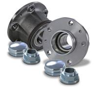 BESTPRICE 2x Buje de rueda trasero juego de cojinetes de rueda Compatible con CITROËN JUMPER II, FIAT DUCATO (250_), PEUGEOT BOXER