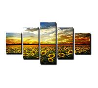 bestpricepictures 160 x 80 cm Cuadro en Lienzo Girasol 5535-SCT - Imagen/Impresion/Pintura Listo para Colgar