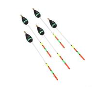 Besttoolifes Juego de 5 flotadores de pesca y cabeza más abeto de bala, patrón de boya vertical para aparejos de cobre marino, flotadores sensibles para una mordida precisa (15 g)