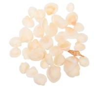 BESTYASH 1 Caja Conchas Naturales Blancas para Manualidades y Decoración del Hogar Kit Artesanal DIY Conchas Marinas para Adornos Arreglos y Acuarios Ligero y Compacto