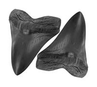 BESTYASH 2 Piezas Réplicas de Dientes de Megalodón Resina Gigantes para Decoración Colección y Enseñanza Acabado Artesanal Realista para Prehistoria