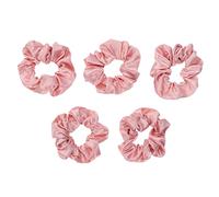 BESTYASH Coleteros Elásticos de Satén Pelo 5 Unidades Rosa N.º 104 Tamaño Grande Soporte para Recogido de Cabello Mujer y Niña Uso Diario Accesorios de Cabello