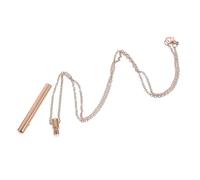 BESTYASH Collar De Recuerdo De Cenizas De Colgante De Perfume Compartimento Joyería Conmemorativa Para Llevar La Memoria De Seres Queridos Cerca Del Corazón