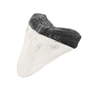 BESTYASH Diente De Tiburón Decorativo Retro De Resina Artesanal Duradero Para Decoración De Escritorio y Colección