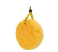 Beter Esponja de Espuma Coffee o Clock | Precio, Comprar n/a 1 Unidad