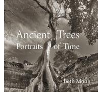 Beth Moon Ancient Trees (Tapa dura) (Importación USA)