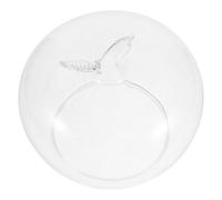BETOOKY Cúpula de Cristal para Flores, Tarro Decorativo de Recuerdo, Vidrio, Cúpula en Forma de Manzana, Antipolvo, para Flores Preservadas y Recuerdos, Día de San Valentín, Centro de