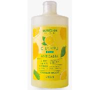 Betres On Champú Anticaspa 750ml