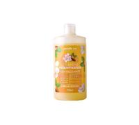 Betres On Champú Revitalizante 750ml