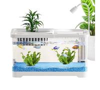 Betta Fish Aquariums - 11,81 x 7,48 x 7,09 pulgadas AS, recipiente transparente de polipropileno | Elegante cuenco de peces de escritorio con tapa y decoración | Tanque de acuario - Snails Turtle Pet
