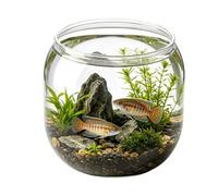 Betta Fish Bowl, Round Decorative Shatterproof Mini Aquarium Fish Tank Clear Viewing Display Container, for Home School Classroom Dorm Restaurant Bar Living Room Bedroom Study Use