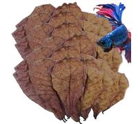 Betta Fish Leaves - Hojas de almendra de pescado betta, hojas de almendra para peceras Betta | Decoraciones de tanque, hojas de almendra grandes, entorno sigiloso para camarones, cangrejos, tortugas,