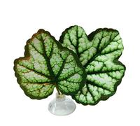 Betta Leaf - Cojín vegetal simulando un hábitat ligero | Decoración de hamaca de acuario | realista, cama de descanso, ornamento de tanque, especies de combate, accesorio de movimiento natural