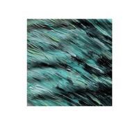 Better Days [Vinilo]