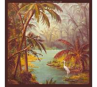 Duane Betts – Wild & Precious Life – Vinilo (Importación USA)