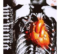 Between Love and Madness - Versus the After Chapter