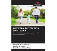 Between Protection and Delay: The crisis of speed in the adoption process in the Brazilian legal system