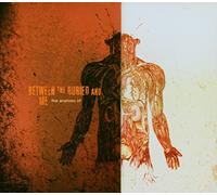 Between the Buried and - The Anatomy Of