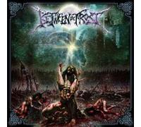 Between the Frost - Realms of Desolation