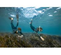 BEUCHAT Shorty Seaweed Snorkeling Wetsuit, Men's, Atoll Blue, XXL