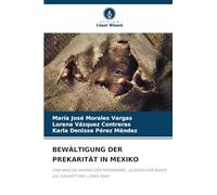 Bewältigung Der Prekarität in Mexiko: EINE ANALYSE ANHAND DER PROGRAMME "JUGENDLICHE BAUEN DIE ZUKUNFT" UND "LEBEN SÄEN"