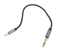 Bewinner Cable de Audio Mono de 3,5 Mm a 6,35 Mm |Aleación de Zinc de PVC de 11,8 Pulgadas, Grado Profesional para Instrumentos, Parlantes y Cine en Casa