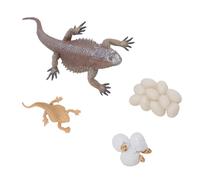 Bewinner Juego de Figuras de Ciclo de Vida de Lagarto, Modelo Educativo e Interactivo de Crecimiento Animal con Diseño Realista, Hecho de Material de PVC Seguro para Uso Doméstico o Escolar
