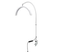 Bewinner Lámpara de Belleza de Media Luna LED de 16 Pulgadas, Luz de Abrazadera de Escritorio Ajustable de 20W con Manguera de 360 °, 10 Niveles de Brillo para (WHITE)