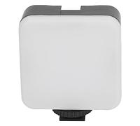Bewinner Mini Luz de Relleno LED para Cámara, Luz de Vídeo Portátil con 49 Cuentas, Orificio para Tornillo de 1/4 pulg., Blanca Suave Alimentada por Batería para Trípode, Tomas Al Aire Libre y